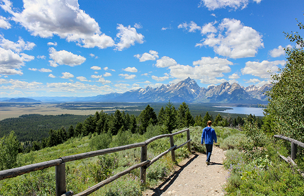 Towncenter At Jackson Hole