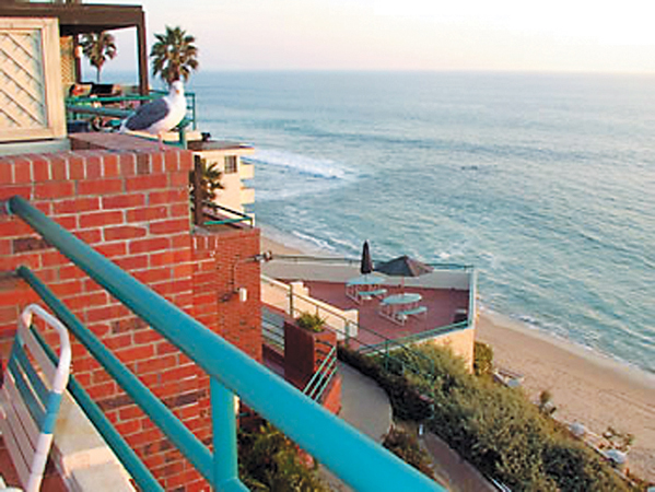 Laguna Surf