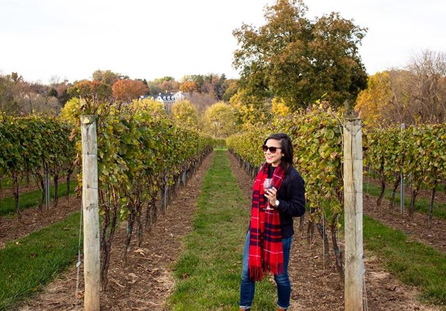 Woman in vineyard in Napa Valley