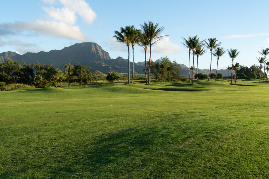kauai hawaii