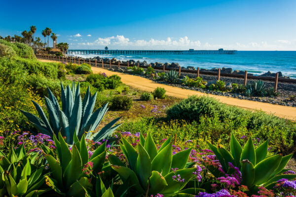 Colorful flowers and view of the fishing pier at Linda Lane Park, in San Clemente, California.